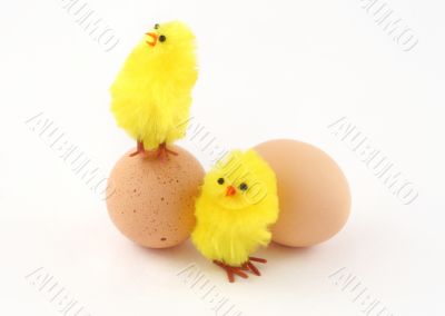 two easter toy chickens with eggs