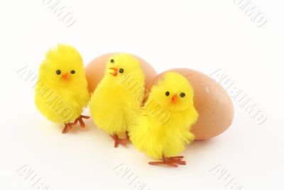 three easter toy chickens with eggs