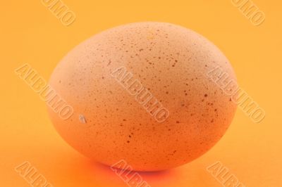 free-range egg