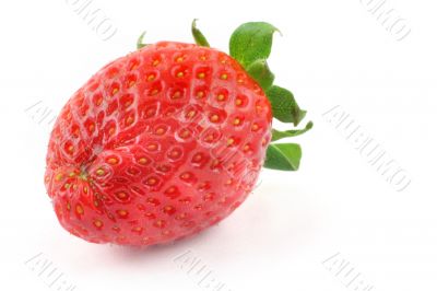 fresh delicious strawberry from a different angle