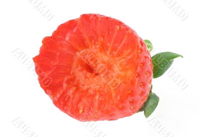 strawberry bite with a stalk - real macro