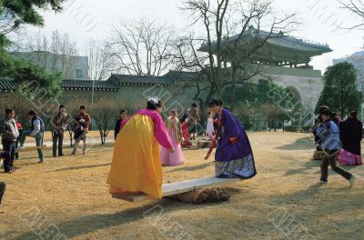 Traditional Korean Seesaw