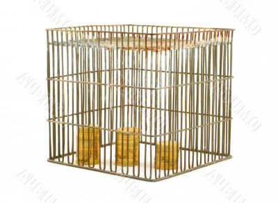 banking - coins in cage on white #2
