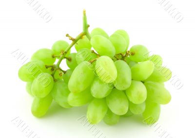 green grapes on white
