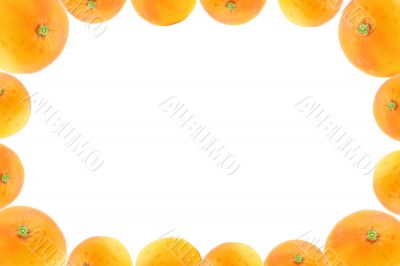 high resolution frame decorated with orange fruits