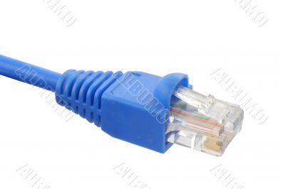 RJ-45 cable on pure white background