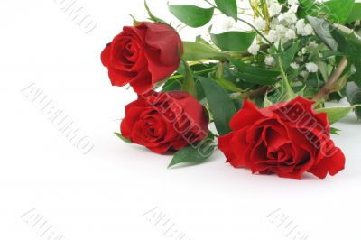 three beautiful maroon roses with decoration