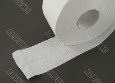toilet paper roll on black