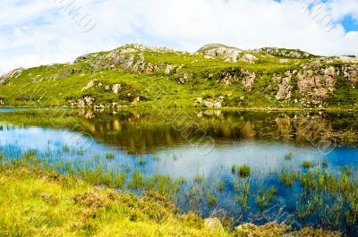 Green Landscape with Water