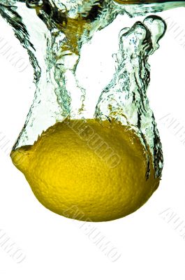 Citrus Lemon Fruit Splash