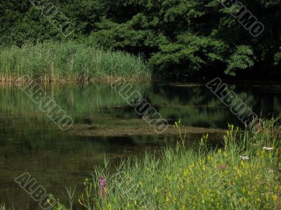 lake at nature reserve