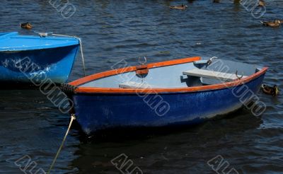 rowing boats