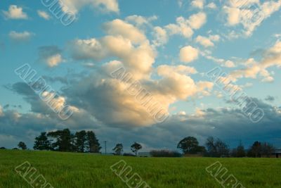 Green fields at Sunset under a Cloudy Sky