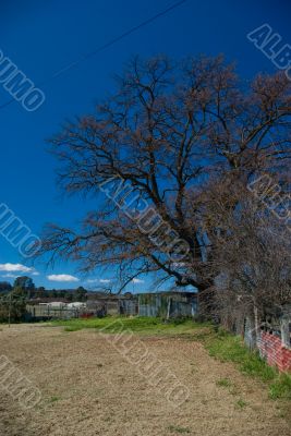 Colourful Rural Backyard/Farmyard