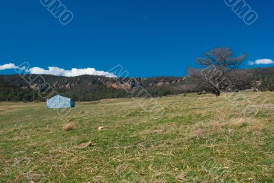 Rural Landscape: Farm House and Trees