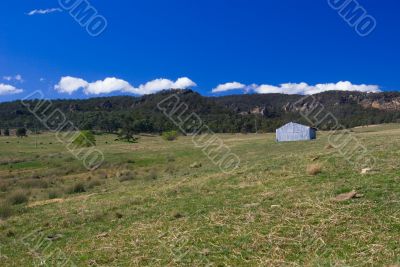 Rural Landscape: Farm House and Trees