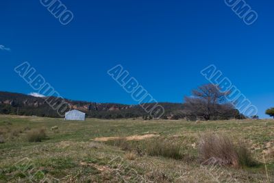 Rural Landscape: Farm House and Trees