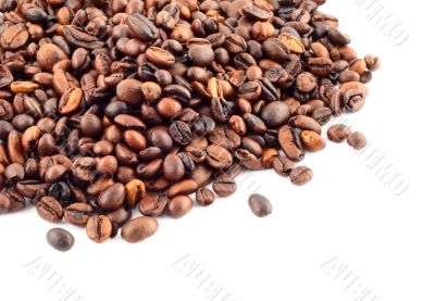 coffee beans on white