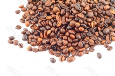 spilled coffee beans on white