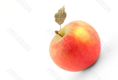 tasty apple with dry leaf on white