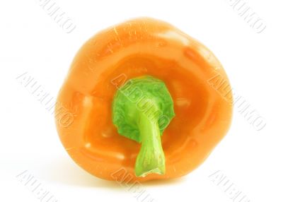 orange pepper on white