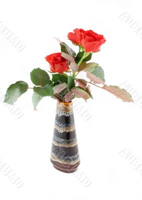 red roses in vase