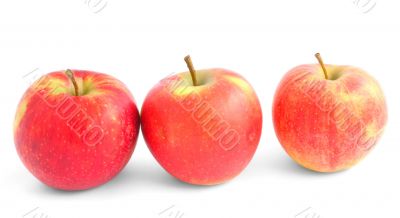 three apples on white