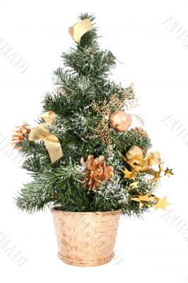 perfectly isolated small christmas tree