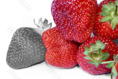 strawberry outcast #2
