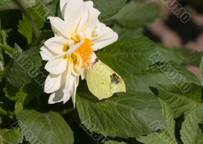 To everyone is where to have a rest