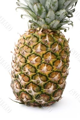 pineapple on white