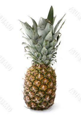 pineapple on white
