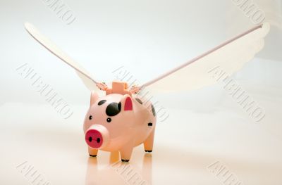 Flying pig