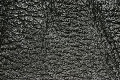 black leather texture details