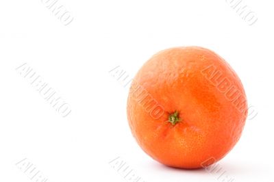 fresh mandarin on white