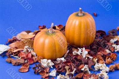 Fall Pumpkins