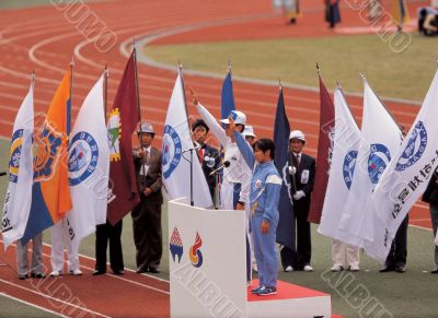Flags in Stadium