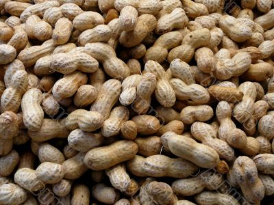 Organic Peanuts