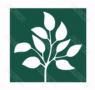 White Flower on Green Background White Flower on Green Background