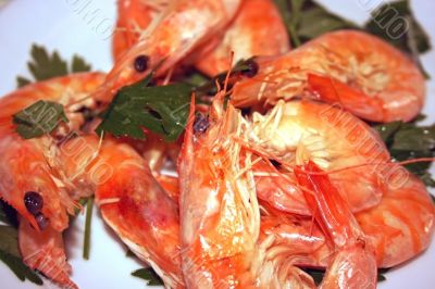 Shrimps with parsley