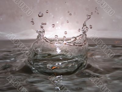 Water drop