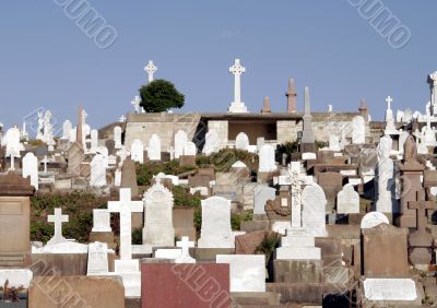 Cemetery Cemetery