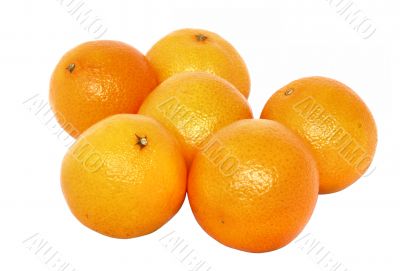 mandarins - pure white background