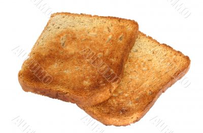 two pieces of toast on white