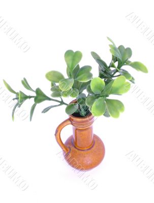 green twig in a vase green twig in a vase