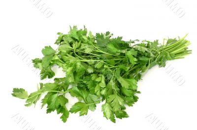 parsley isolated on white