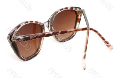 sunglasses - isolated
