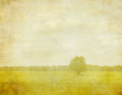 bleached image of a tree on a vintage paper
