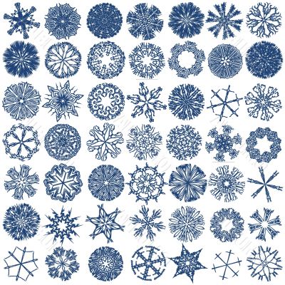 a collection of 49 snowflakes