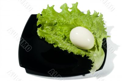 The boiled egg and green salad.